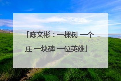 陈文彬：一棵树 一个庄 一块碑 一位英雄