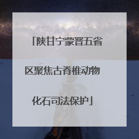 陕甘宁蒙晋五省区聚焦古脊椎动物化石司法保护