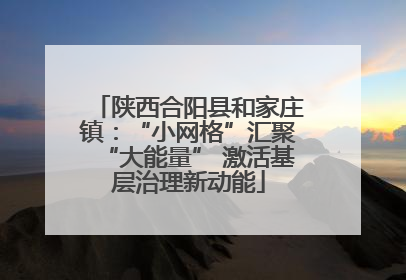 陕西合阳县和家庄镇：“小网格”汇聚“大能量” 激活基层治理新动能