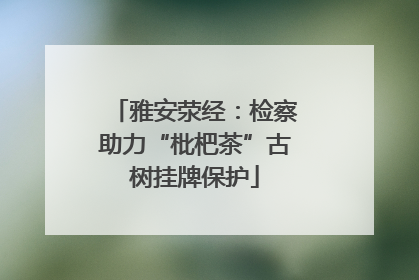 雅安荥经：检察助力“枇杷茶”古树挂牌保护