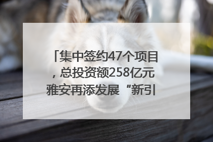 集中签约47个项目，总投资额258亿元 雅安再添发展“新引擎”｜数读西投