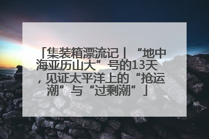 集装箱漂流记丨“地中海亚历山大”号的13天，见证太平洋上的“抢运潮”与“过剩潮”