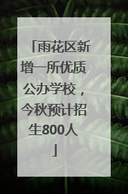 雨花区新增一所优质公办学校，今秋预计招生800人
