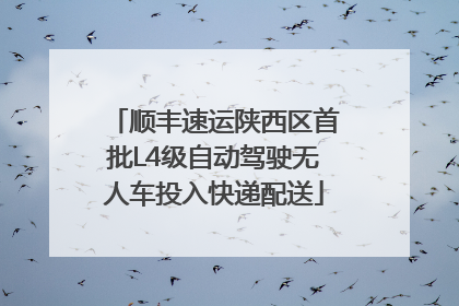 顺丰速运陕西区首批L4级自动驾驶无人车投入快递配送