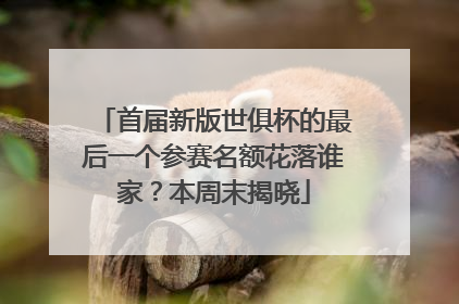 首届新版世俱杯的最后一个参赛名额花落谁家？本周末揭晓