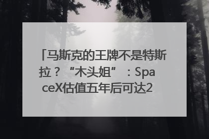 马斯克的王牌不是特斯拉？“木头姐”：SpaceX估值五年后可达2.5万亿美元！