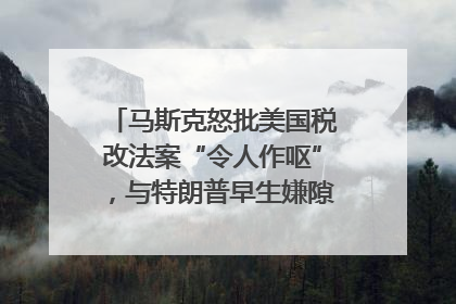 马斯克怒批美国税改法案“令人作呕”，与特朗普早生嫌隙？｜国际识局