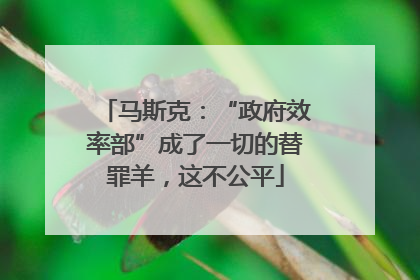 马斯克：“政府效率部”成了一切的替罪羊，这不公平
