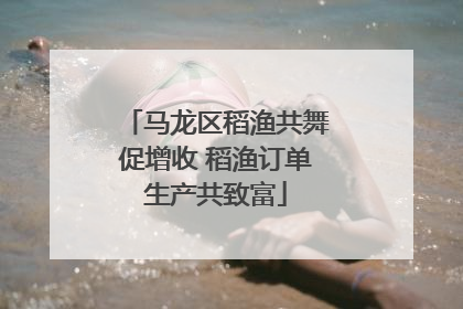 马龙区稻渔共舞促增收 稻渔订单生产共致富