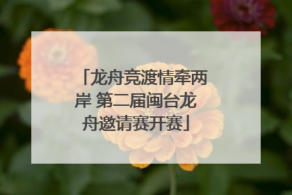 龙舟竞渡情牵两岸 第二届闽台龙舟邀请赛开赛