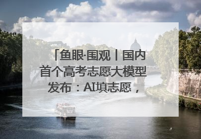 鱼眼·围观丨国内首个高考志愿大模型发布：AI填志愿，靠不靠谱？