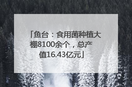 鱼台：食用菌种植大棚8100余个，总产值16.43亿元