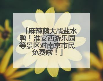 麻辣鹅大战盐水鸭！淮安西游乐园等景区对南京市民免费啦！