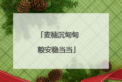麦穗沉甸甸 粮安稳当当