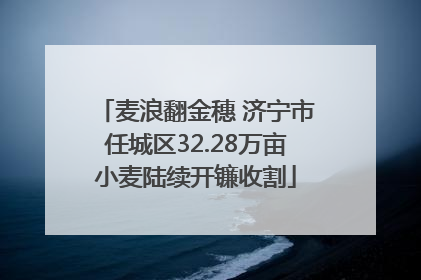 麦浪翻金穗 济宁市任城区32.28万亩小麦陆续开镰收割