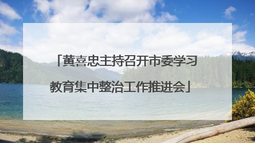 黄喜忠主持召开市委学习教育集中整治工作推进会