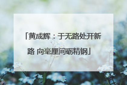 黄成辉：于无路处开新路 向毫厘间砺精钢