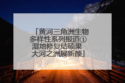 黄河三角洲生物多样性系列报道①湿地修复结硕果 大河之洲展新颜