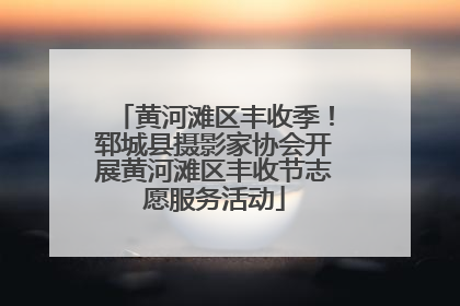 黄河滩区丰收季！郓城县摄影家协会开展黄河滩区丰收节志愿服务活动