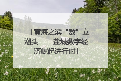 黄海之滨“数”立潮头——盐城数字经济崛起进行时