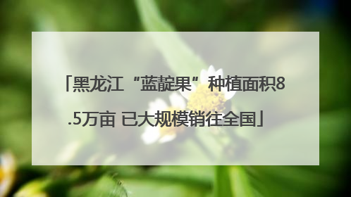 黑龙江“蓝靛果”种植面积8.5万亩 已大规模销往全国