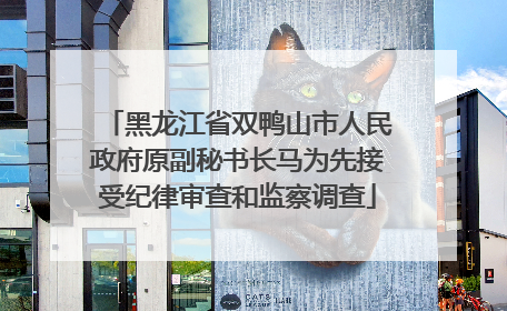 黑龙江省双鸭山市人民政府原副秘书长马为先接受纪律审查和监察调查