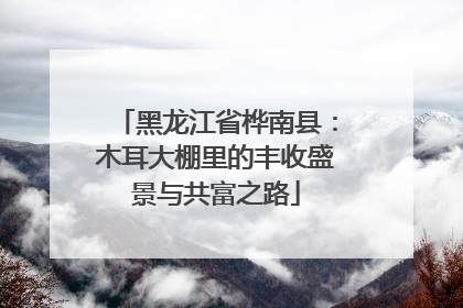 黑龙江省桦南县：木耳大棚里的丰收盛景与共富之路