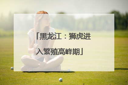 黑龙江：狮虎进入繁殖高峰期