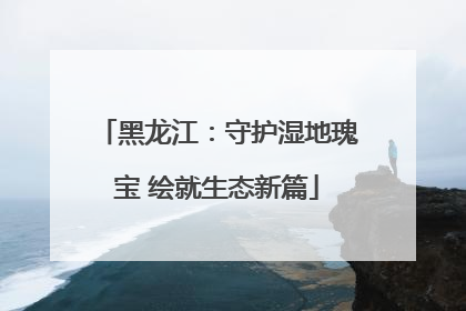 黑龙江：守护湿地瑰宝 绘就生态新篇