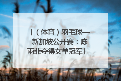 （体育）羽毛球——新加坡公开赛：陈雨菲夺得女单冠军