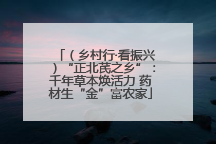 （乡村行·看振兴）“正北芪之乡”：千年草本焕活力 药材生“金”富农家