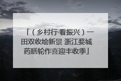 （乡村行·看振兴）一田双收绘新景 浙江婺城药膳轮作喜迎丰收季