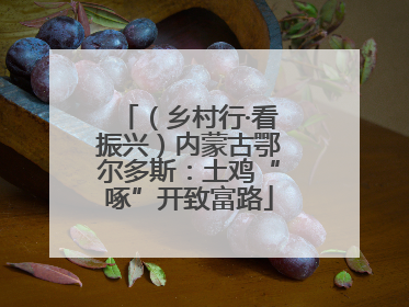 （乡村行·看振兴）内蒙古鄂尔多斯：土鸡“啄”开致富路