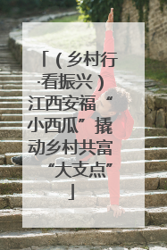 （乡村行·看振兴）江西安福“小西瓜”撬动乡村共富“大支点”