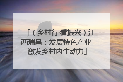 （乡村行·看振兴）江西瑞昌：发展特色产业 激发乡村内生动力