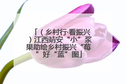 （乡村行·看振兴）江西靖安“小”浆果助绘乡村振兴“莓”好“蓝”图