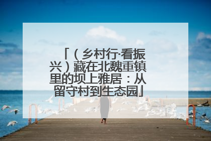 （乡村行·看振兴）藏在北魏重镇里的坝上雅居：从留守村到生态园