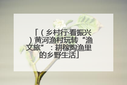 （乡村行·看振兴）黄河渔村玩转“渔文旅”：耕稼陶渔里的乡野生活