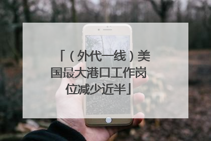 （外代一线）美国最大港口工作岗位减少近半