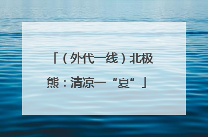 （外代一线）北极熊：清凉一“夏”