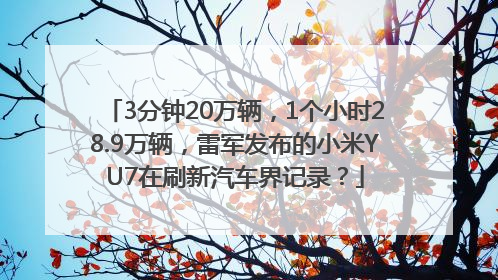 3分钟20万辆，1个小时28.9万辆，雷军发布的小米YU7在刷新汽车界记录？
