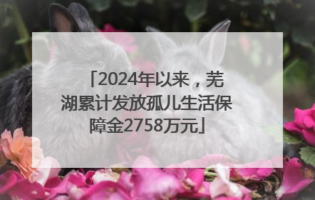 2024年以来，芜湖累计发放孤儿生活保障金2758万元