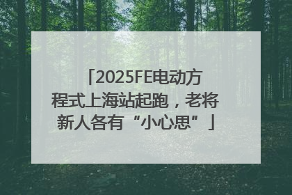 2025FE电动方程式上海站起跑，老将新人各有“小心思”