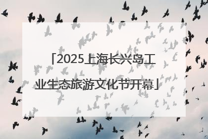 2025上海长兴岛工业生态旅游文化节开幕