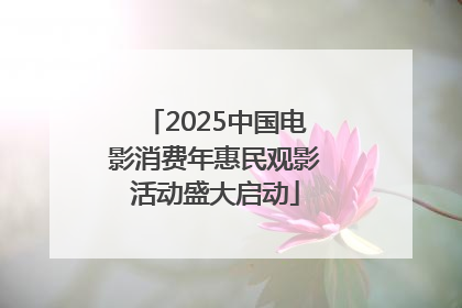 2025中国电影消费年惠民观影活动盛大启动