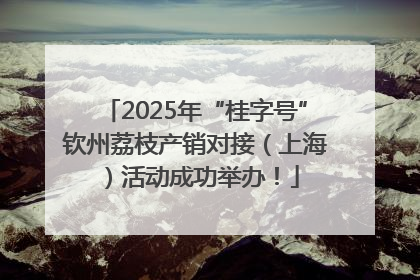 2025年“桂字号”钦州荔枝产销对接（上海）活动成功举办！