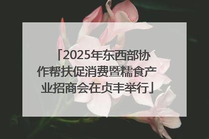 2025年东西部协作帮扶促消费暨糯食产业招商会在贞丰举行