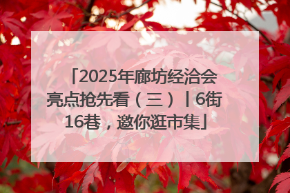2025年廊坊经洽会亮点抢先看（三）丨6街16巷，邀你逛市集