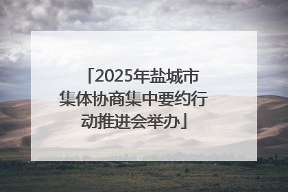 2025年盐城市集体协商集中要约行动推进会举办