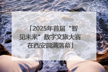 2025年首届“智见未来”数字文旅大赛在西安圆满落幕